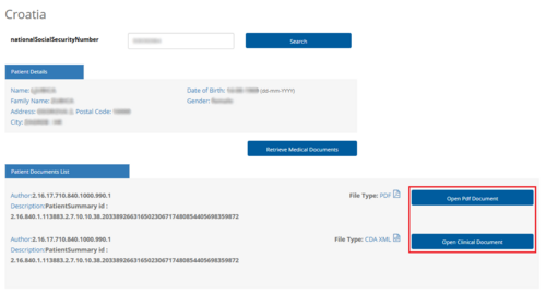 Figure 7.5: Selection of the Patient Summary Format