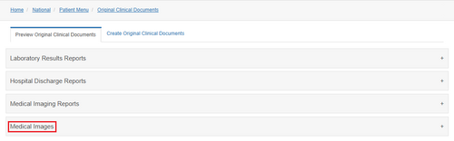 Figure 6.8.8: Original Clinical Document Preview - Medical Images.